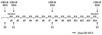 Effects of Long-Lasting High-Definition Transcranial Direct Current Stimulation in Chronic Disorders of Consciousness: A Pilot Study